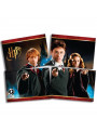 Painel 4 Lâminas Decorativo Festa Harry Potter 1,28m x 90cm Festcolor