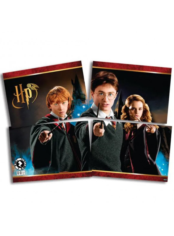 Painel 4 Lâminas Decorativo Festa Harry Potter 1,28m x 90cm Festcolor