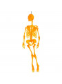 Enfeite Decorativo Festa Halloween Esqueleto Laranja Neon Silver Festas